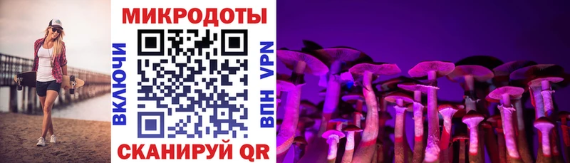 мега маркетплейс  Салаир  Галлюциногенные грибы ЛСД 
